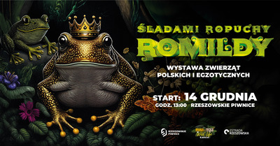 Zdjęcie - Śladami ropuchy Romildy - wystawa reptarium